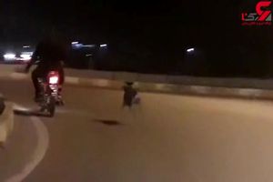2 پسر بی رحم سگی را با موتورسیکلت در خیابان های شفت می‌کشیدند + فیلم