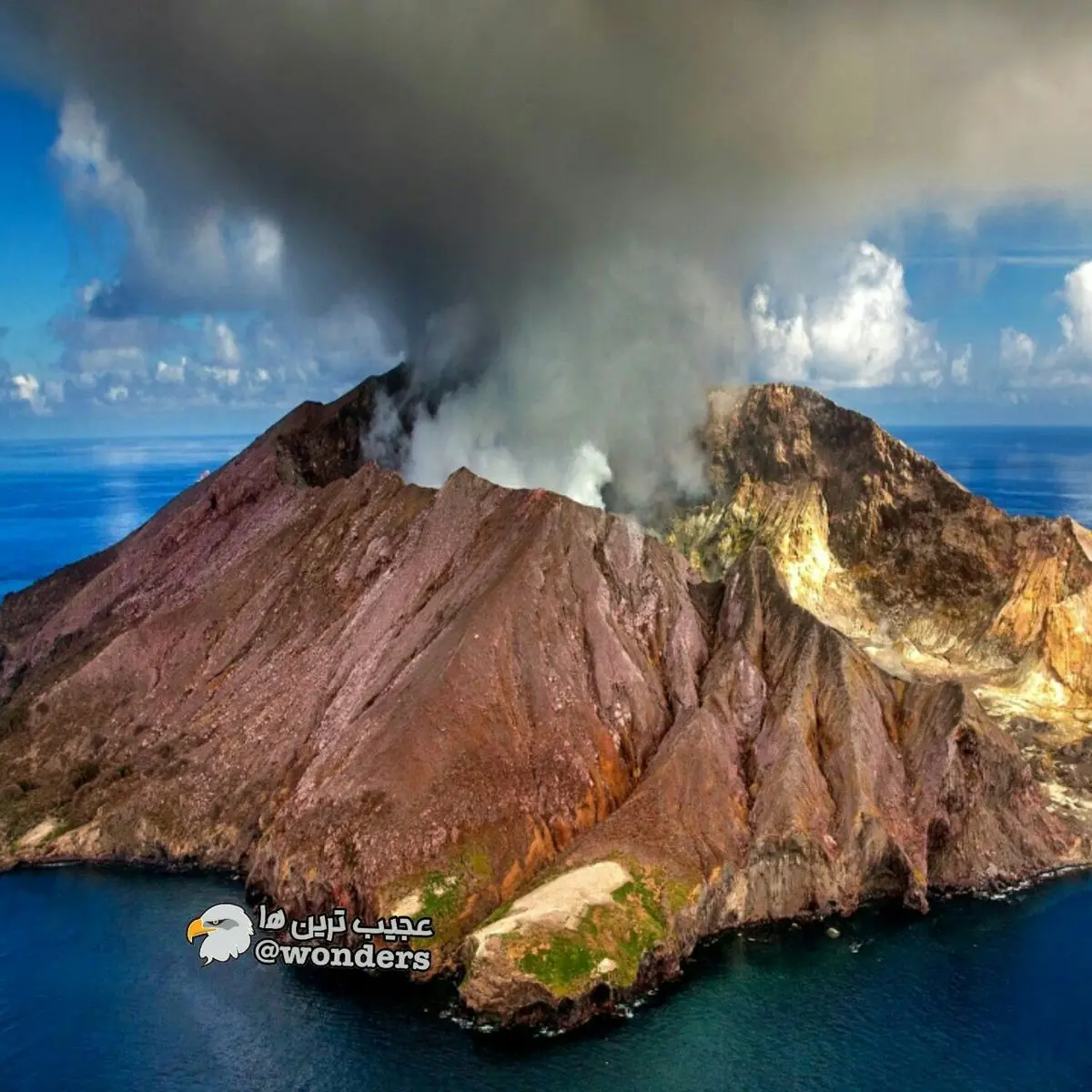 بدترین سال تاریخ