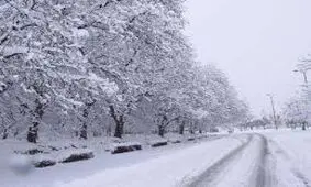 ویدئو/بارش برف در شهر سی سخت