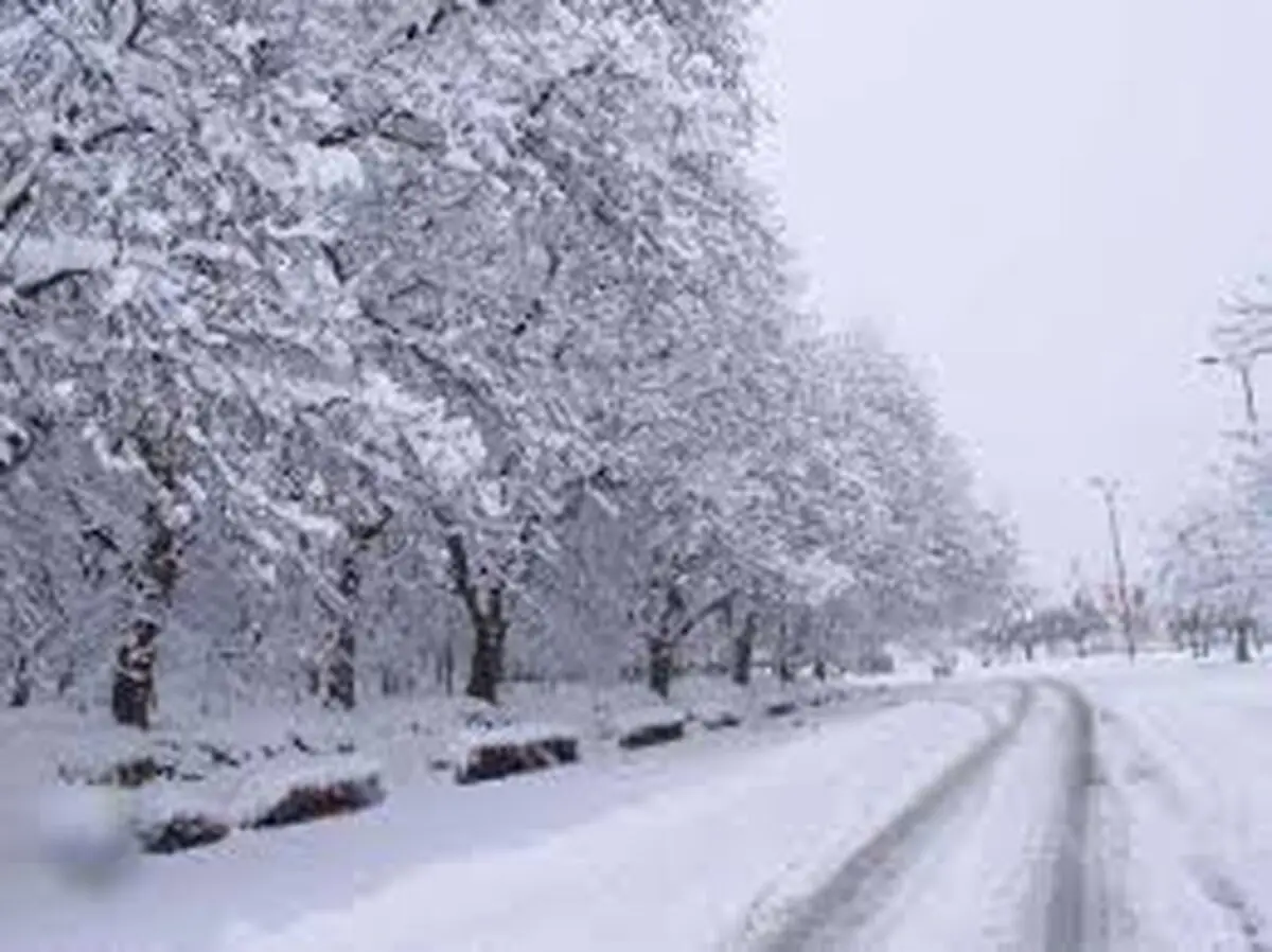 ویدئو/بارش برف در شهر سی سخت