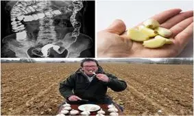 افزایش سیستم ایمنی بدن با سیر