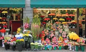 ثبات قیمت گل در بازار/نرخ انواع گل اعلام شد