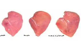 تفاوت مرغ هورمونی و سالم