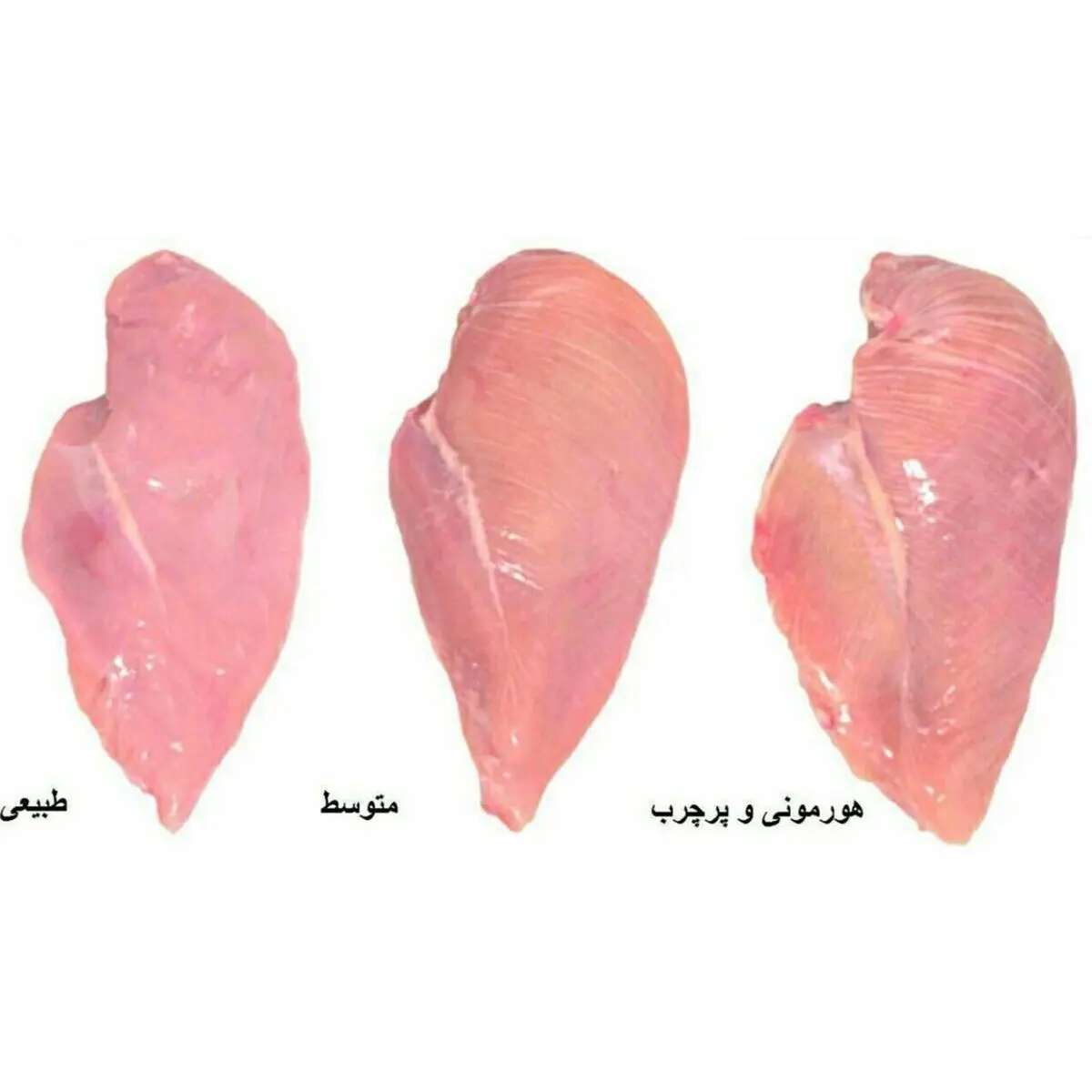 تفاوت مرغ هورمونی و سالم