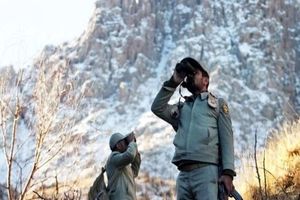 محیط‌بان اندیمشکی در درگیری با شکارچی پرندگان مجروح شد