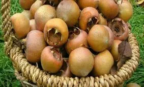 خواص ازگیل