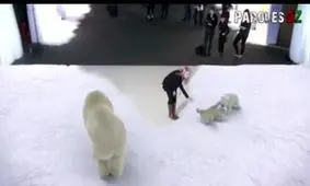 پارک ٧ بعدی در ژاپن: