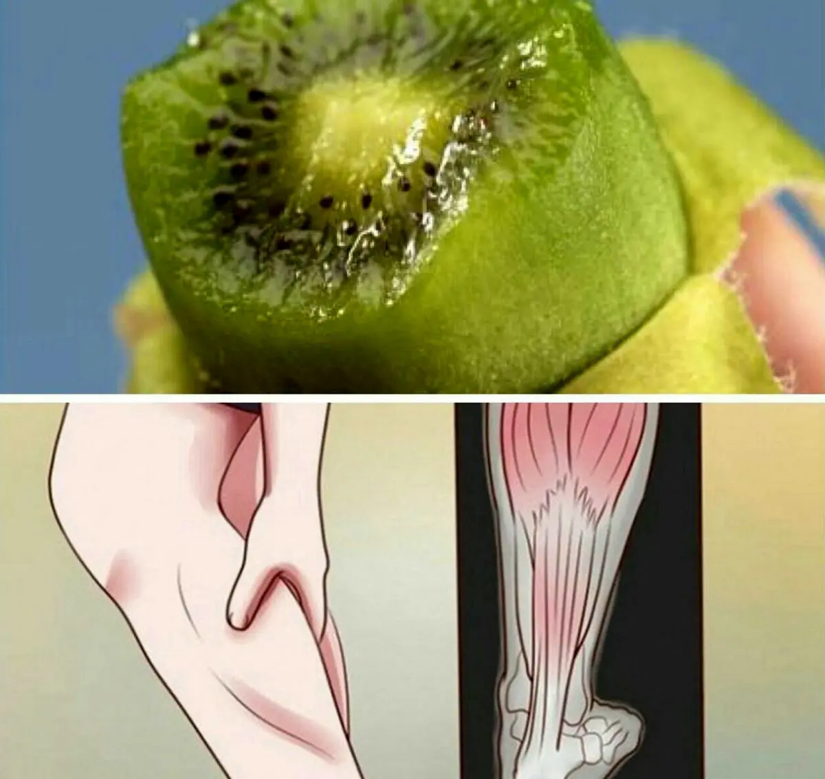 اگر اسپاسم عضلات دارید کیوی بخورید