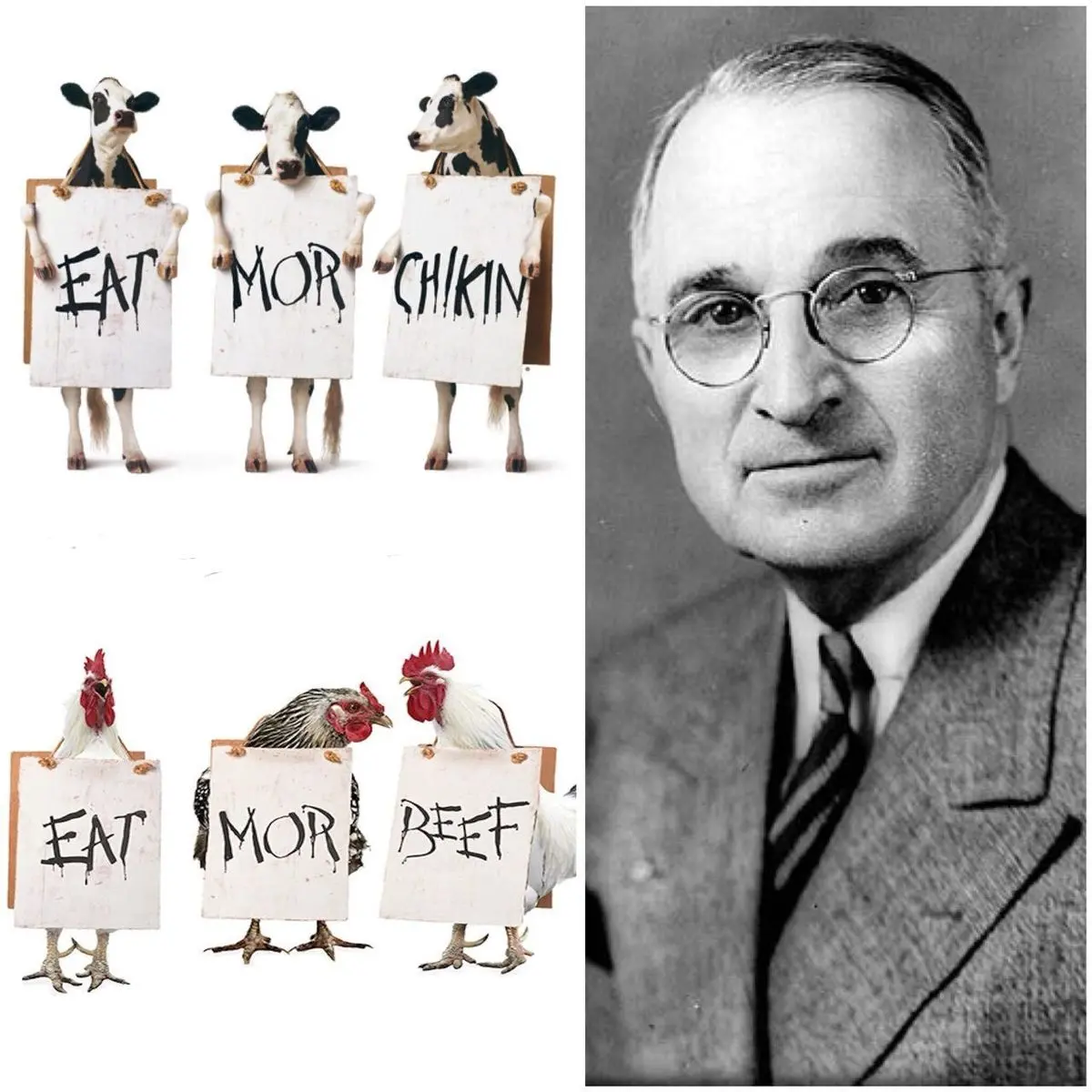 رئیس جمهوری که از افزایش بهای گوشت جلوگیری کرد