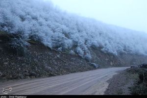 کاهش دید در جاده‌های استان قزوین/بارش برف در گردنه‌ها ادامه دارد