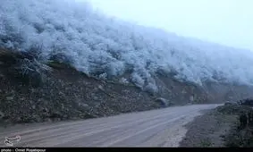 کاهش دید در جاده‌های استان قزوین/بارش برف در گردنه‌ها ادامه دارد