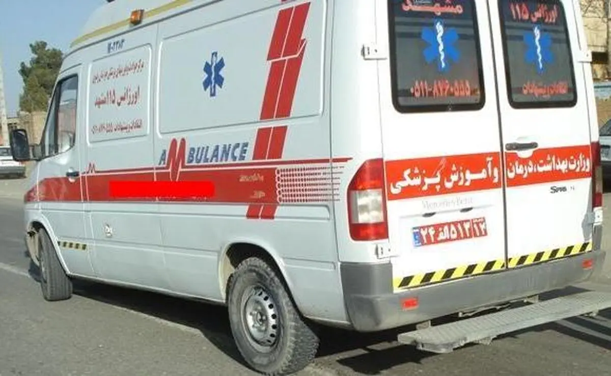 واژگونی ساینا 8 مصدوم بر جای گذاشت