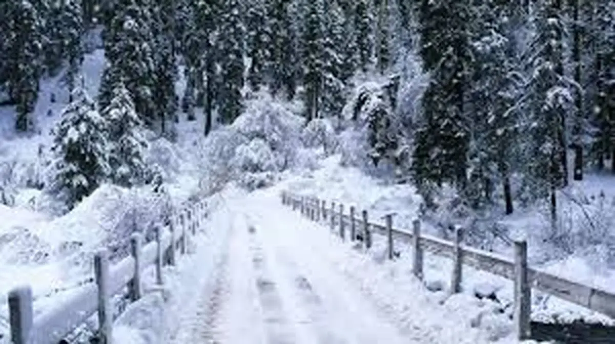 ویدئو/بارش برف در مارگون بویراحمد