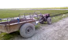 تیلر، جان کشاورز فردوسی را گرفت