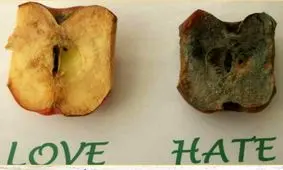 قدرت فکر انسان و تاثیر آن بر اشیاء