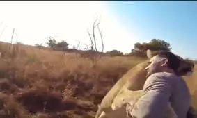 نمایی از روابط عاطفی حیوانات وحشی و انسان