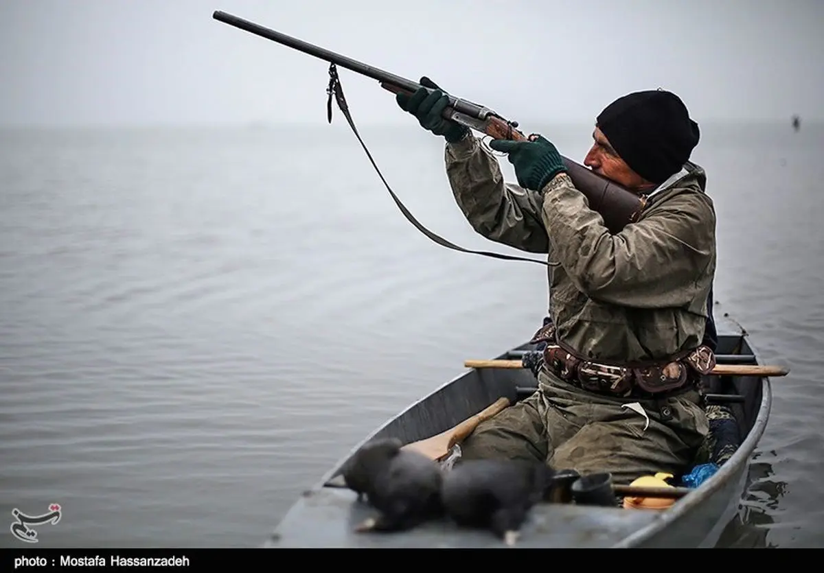 پرندگان وحشی در آذربایجان‌شرقی با پروانه "شکار عادی" محیط زیست شکار می‌شوند