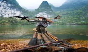 ماهی گیری با کمک پرندگان!