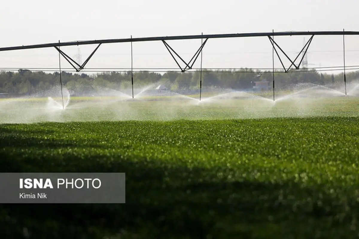 تداوم روند منفی تراز کشاورزی/ هندوانه همچنان در صدر