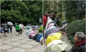 بازار ازدواج در شانگ های