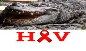 کروکودیلین محصولی که ایدز را درمان میکند