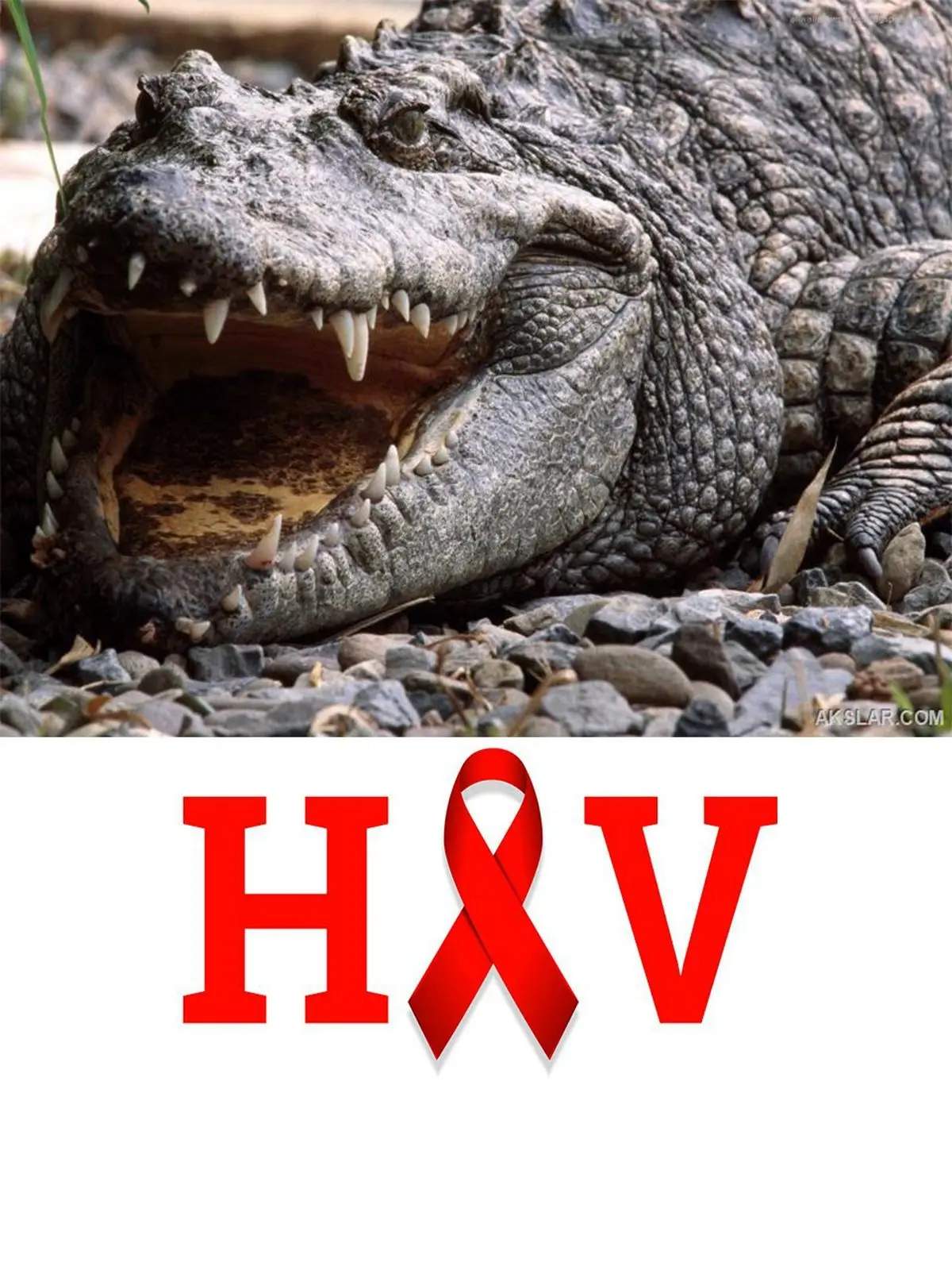 کروکودیلین محصولی که ایدز را درمان میکند