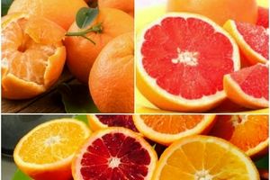 خوردن هسته میوه های زمستانی را نخورید