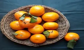 نارنگی باعث تقویت هوش کودک می شود