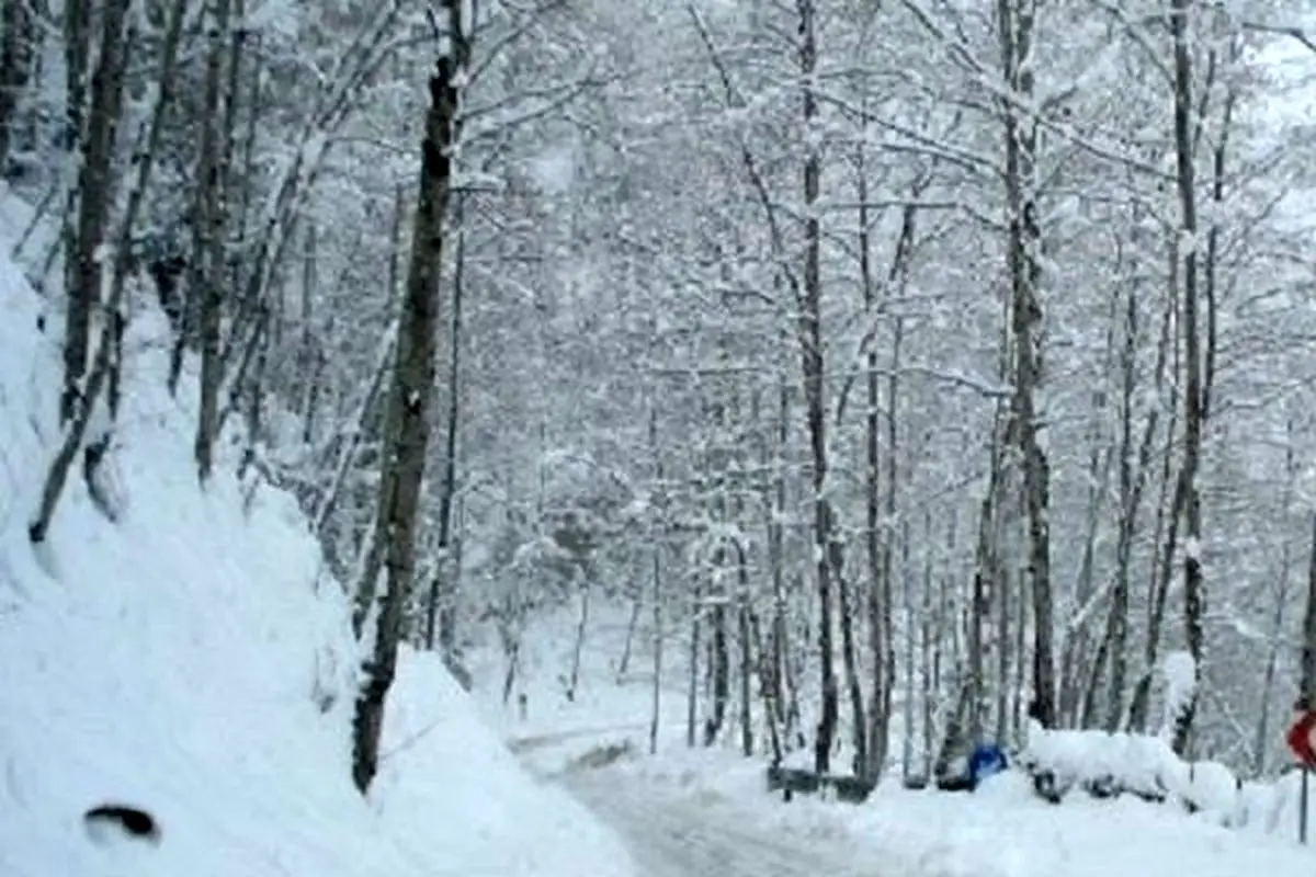 کندی تردد و نگرانی از مفقودی کوهنوردان/ آماده‌باش نیروهای امدادی
