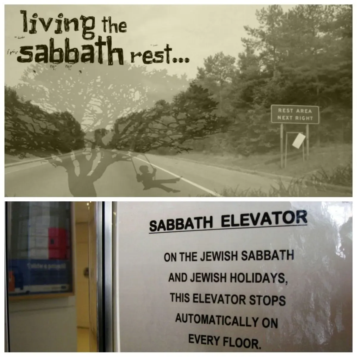 یوم السبت روز هیچ کاری نکردن است