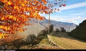 پاییز رویایی "طیولا" اشکورات گیلان به روایت تصویر