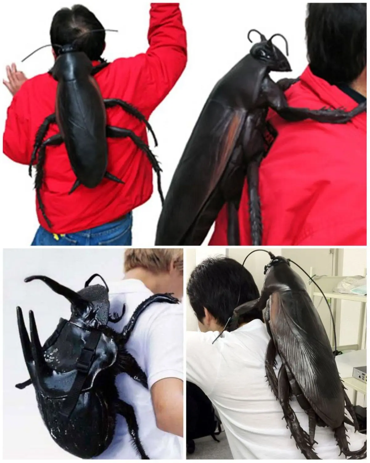 کوله ای که در استحکام و دوام رابطه‌ها موثر است