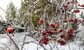 شهری که مردمش از یخبندان نمی‌ترسند +تصاویر