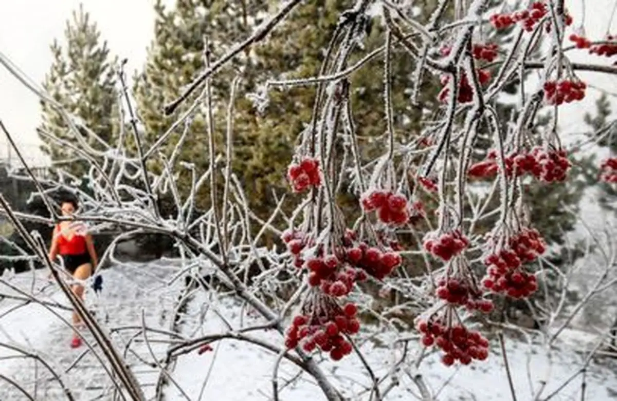 شهری که مردمش از یخبندان نمی‌ترسند +تصاویر