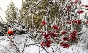 شهری که مردمش از یخبندان نمی‌ترسند +تصاویر