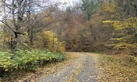 قدیمی‌ترین زیستگاه کره زمین که فقط به نام ایران جهانی می‌شود +تصاویر