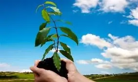 محکومیتی که منجر به استخدام شد