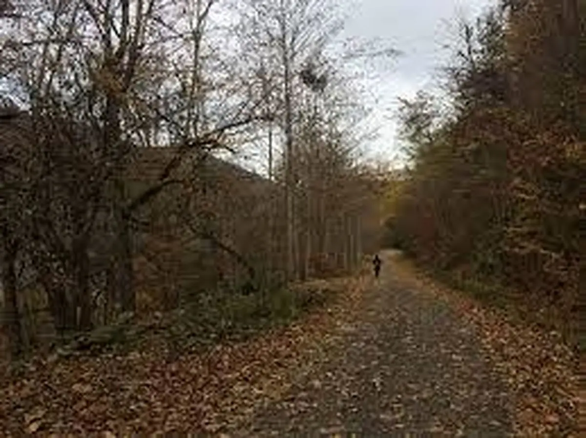 قدیمی‌ترین زیستگاه کره زمین فقط به نام ایران جهانی می‌شود