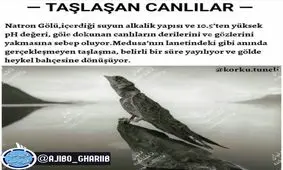 دریاچه ناترون یا نفرین مدوزا