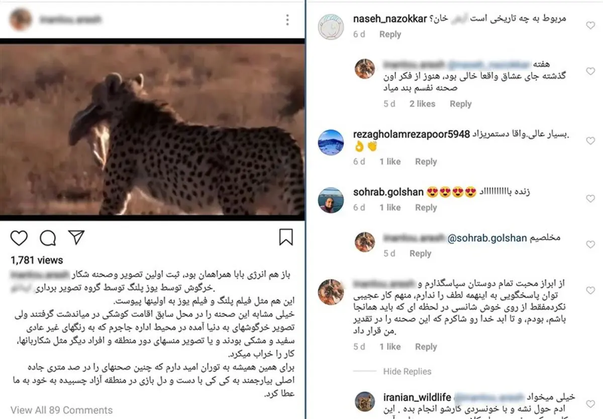 لاف یوزپلنگی آقای شکارچی و گاف سازمان محیط زیست