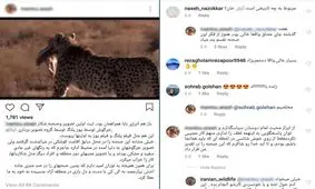 لاف یوزپلنگی آقای شکارچی و گاف سازمان محیط زیست