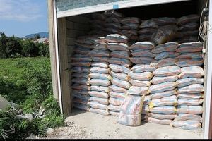 ۲۳ تن برنج قاچاق در کامیاران کشف شد