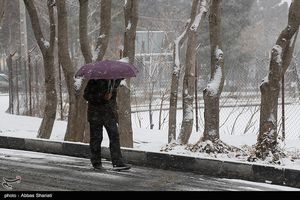 بارش برف استان سمنان را سفیدپوش کرد/بارش سنگین برف در شهمیرزاد