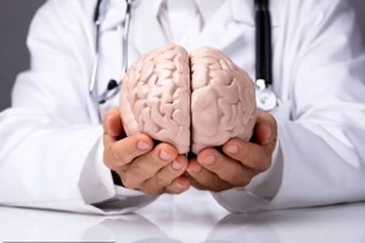 مغز با 2 ساعت درونی خود, آینده فوری را پیش بینی می کند!