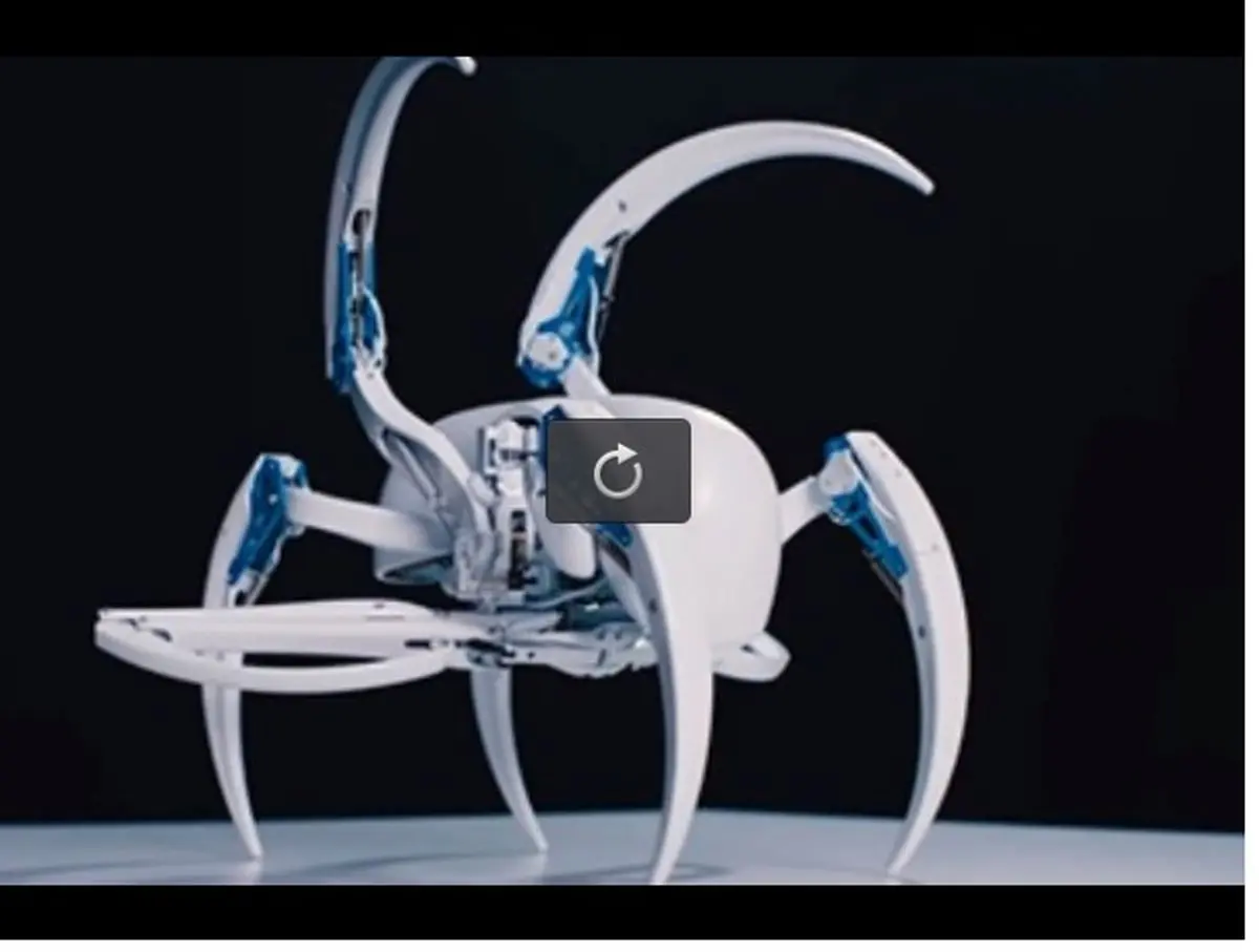 رباتی که با الهام از عنکبوت ساخته شد+ فیلم