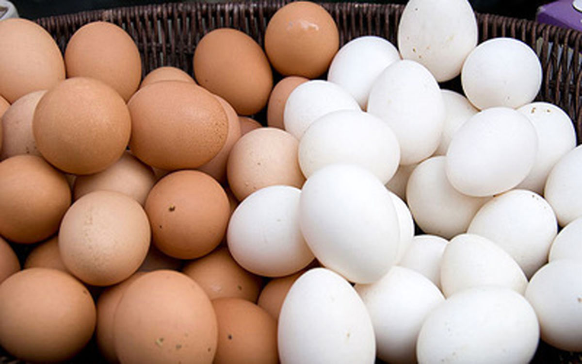 قیمت بسته‌های تخم مرغ در بازار+جدول