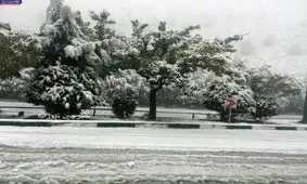 عکس/بارش برف در گردنه تیوان