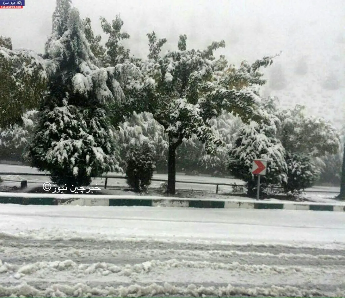 عکس/بارش برف در گردنه تیوان