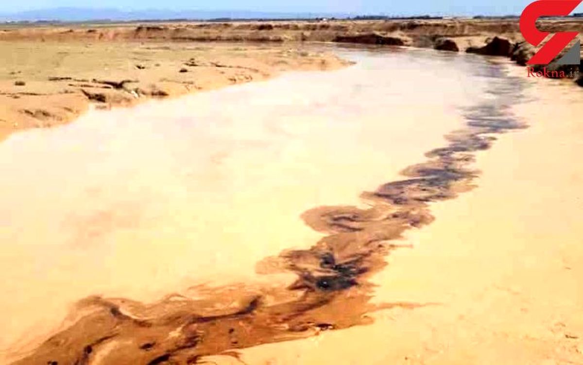 ویدئو/تشکیل پرونده قضایی برای آلودگی نفتی گناوه