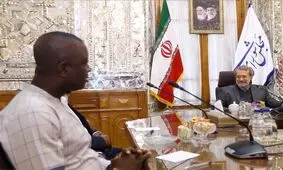 پیشنهاد جدید لاریجانی به نماینده غَنا درباره گسترش همکاری‌ها